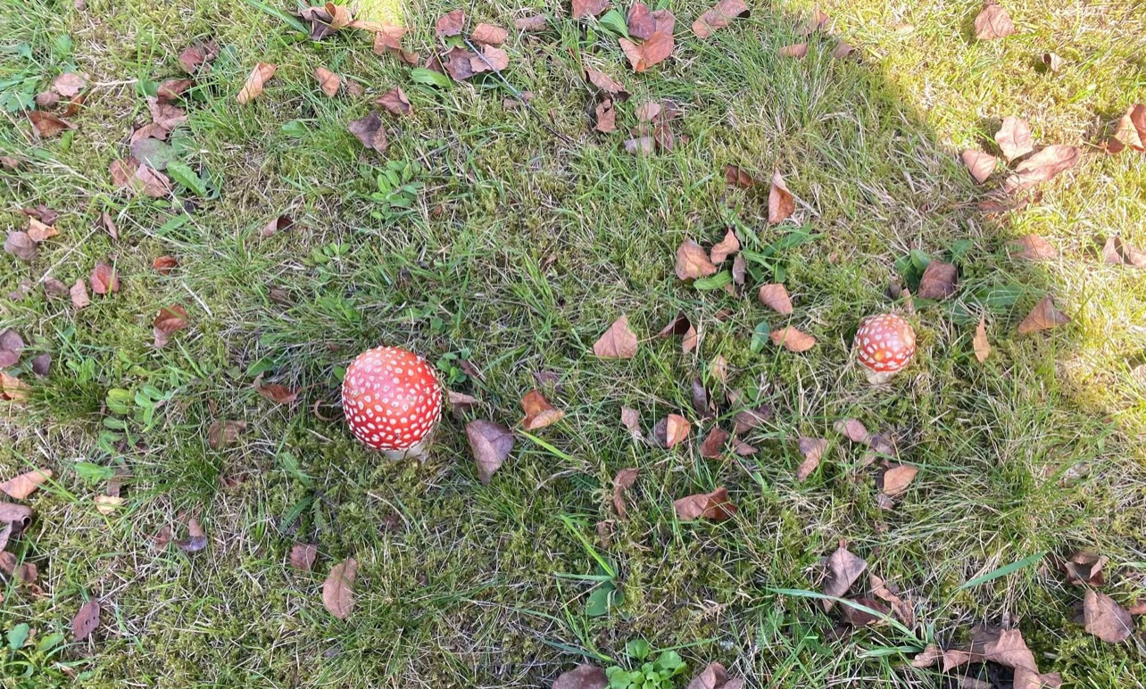 Ecole primaire du dehors ! Ecole primaire du dehors !